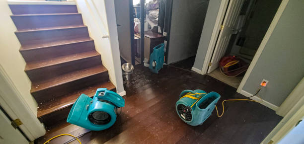 Best Flood damage cleanup  in Shadeland, IN