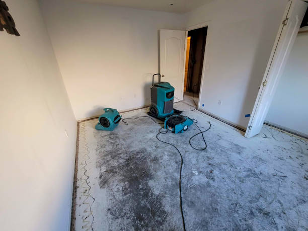 Shadeland, IN Water damage restoration Company