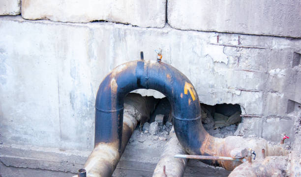 Best Basement water damage restoration  in Shadeland, IN