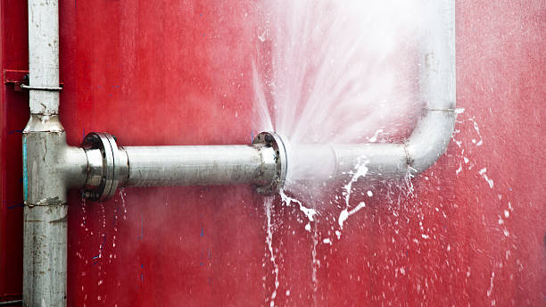Best Water damage restoration near me  in Shadeland, IN