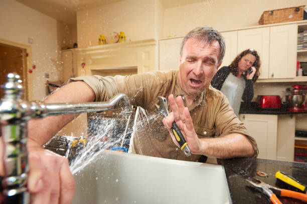 Best Carpet water damage restoration  in Shadeland, IN